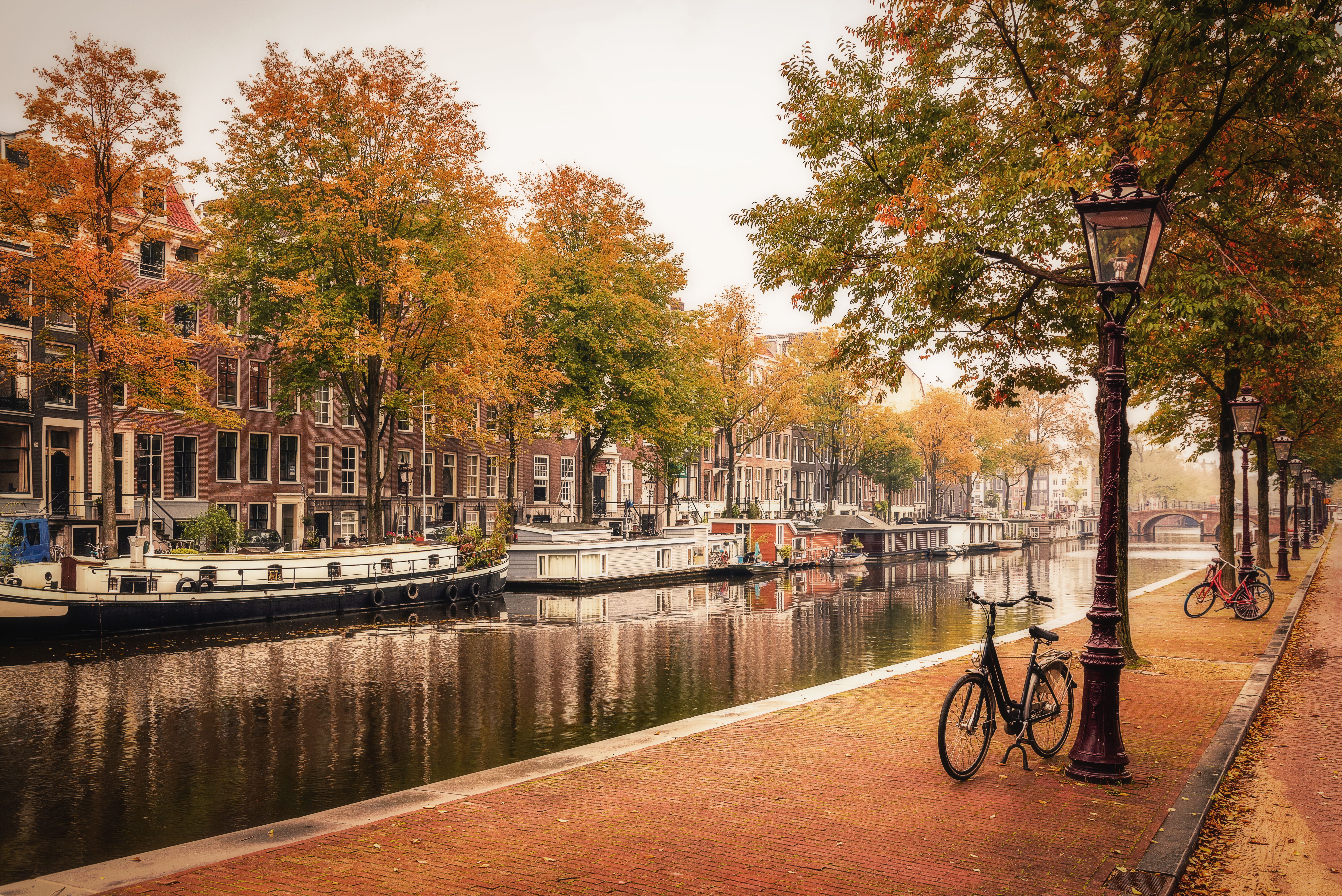 Herbst in Amsterdam mit farbigen Blättern. 