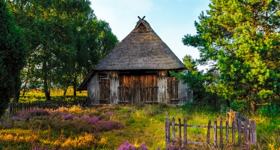 Die Lüneburger Heide in der Nähe von Lüneburg. - BAHNHIT.DE, © getty; Foto: rpeters86