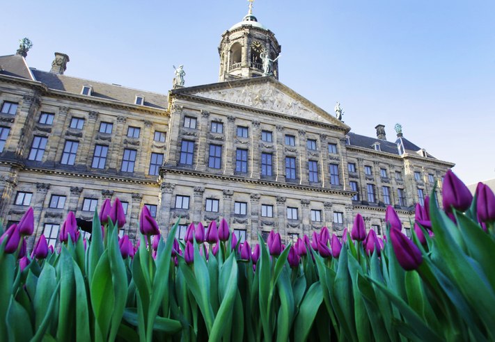 Bahnhit Amsterdam Königspalast, © GettyImages, Paulo Amorim