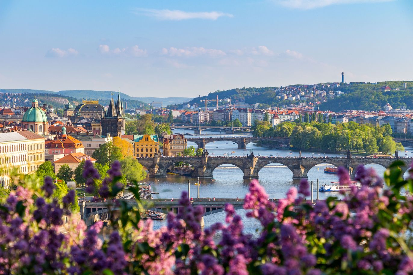 Panoramablick auf die Karlsbrücke in Prag mit lila blühenden Bäumen im Vordergrund.