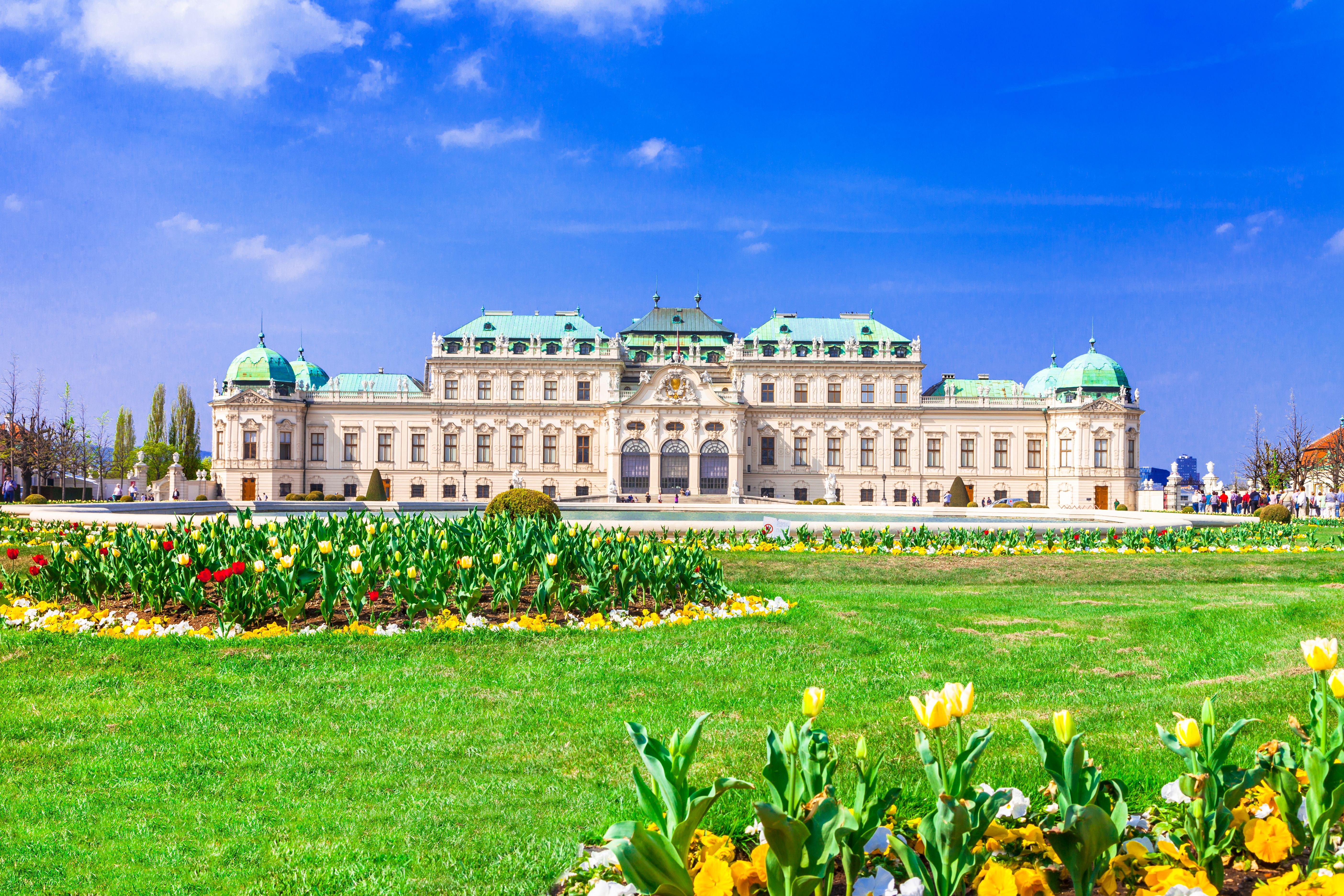 Schloss Belvedere mit Blumen und grüner Wiese bei blauem Himmel